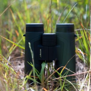 10x42 Green Binocular - Image 7